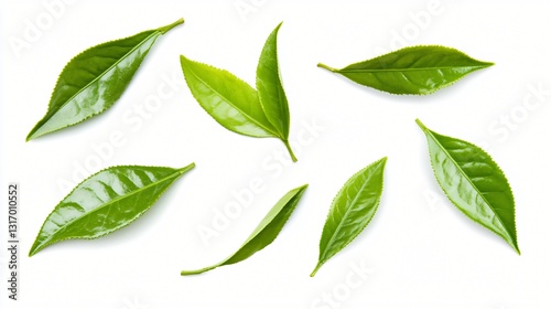 Fresh green leaves scattered, vibrant natural foliage with diverse shapes, ideal for eco-friendly themes or organic designs.