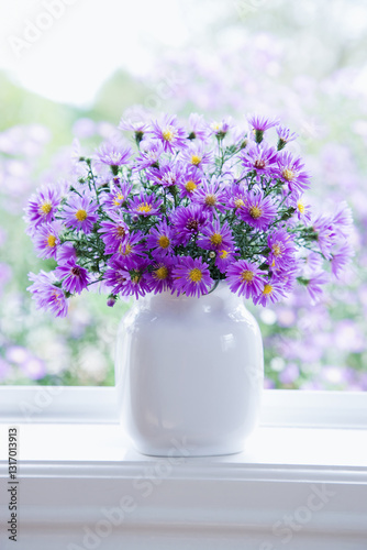 クジャクアスターの花