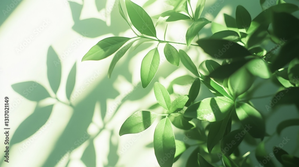 Sunlit green leaves casting shadows on light background Sunlit green leaves casting shadows on light background