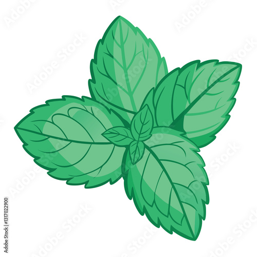 Illustration-of-mint-isolated.