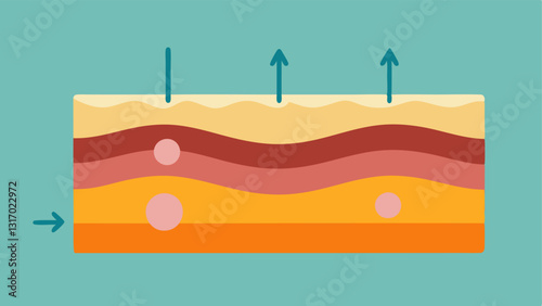 Skin Layer Insight A simplified crosssection of skin layers with the patch situated on the surface showing arrows indicating tration of ingredients into deeper layers for collagen