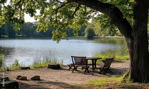 Relaxing Picnic Spot by the Lake Under Shady Tree Canopy