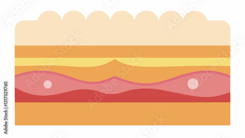 Skin Layer Crosssection A crosssection of skin layers with the top layer looking smooth and firm showing collagen boosting from the application of the lotion.