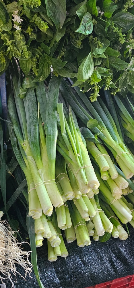 Fototapeta premium Fresh basil and leeks at the market