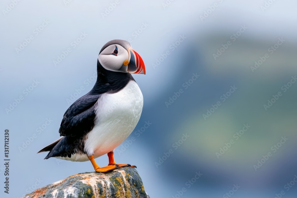 Fototapeta premium Colorful puffin perched on a rocky ledge against a blurred coastal backdrop in summer