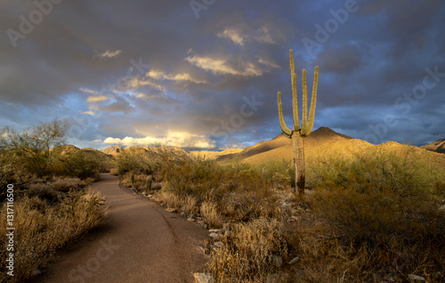 Hiking Path At The Gateway Trailhead And Desert Preserve In Scottsdale Arizona