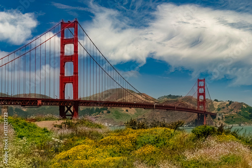 526-04 Golden Gate Wildflowers