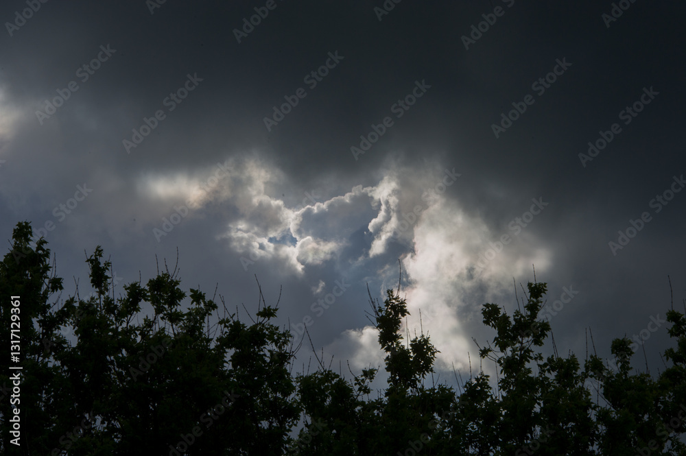 Obraz premium Dark silhouettes of tree branches on a background of clouds.