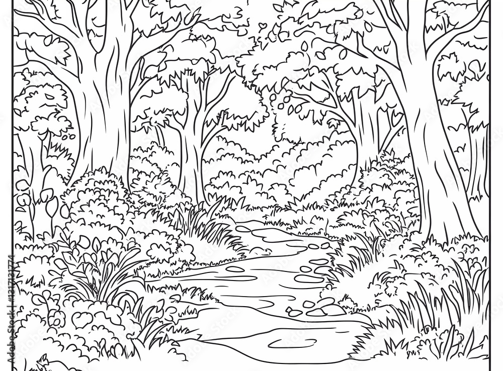 A coloring page of an open forest with tall trees and small plants, a stream flowing through the landscape, and some animals hidden in the bushes or among the rocks
