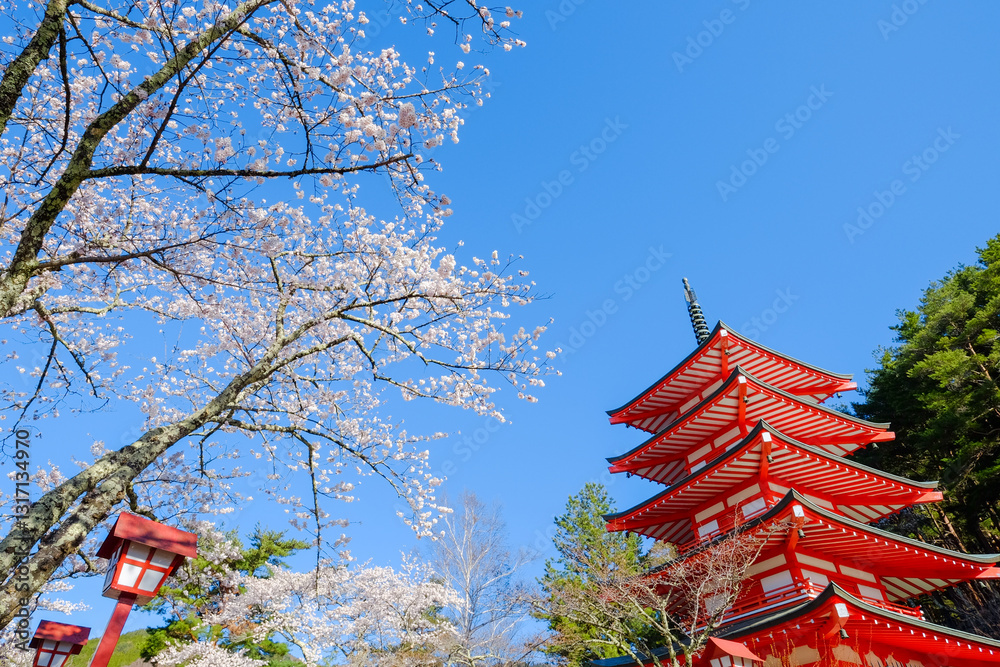 新倉山浅間公園の忠霊塔と桜 新倉山浅間公園の忠霊塔と桜