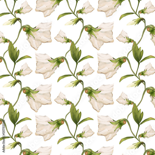 wildflowers botanical seamless pattern watercolor illustration isolated on white viola alba