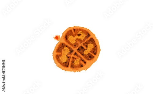 Deinococcus radiodurans bacterium photo