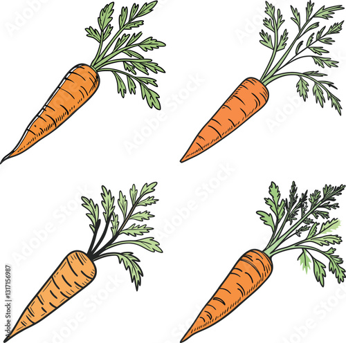 Carrot vector image, carrot, illustration, vector, image, food, vegetable, background, design, vegetarian, fresh, isolated, onion, orange, organic, diet, healthy, drawing, set, broccoli, harvest, cart