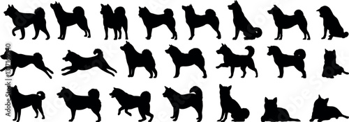 Shiba Inu dog silhouette vector illustration set