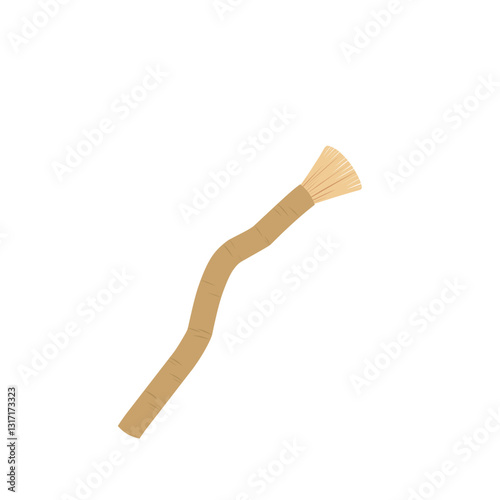 Illustration of a siwak toothbrush 