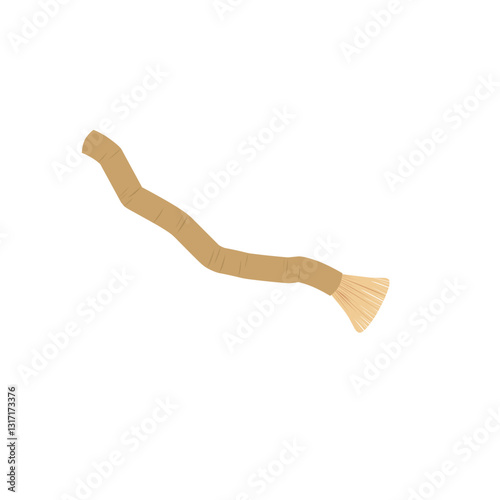 Illustration of a siwak toothbrush 