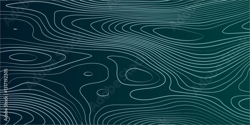  Seamless Topographic Map Design Showcasing Elevation Contours, Geographic Relief, and Fluid Abstract Line Patterns for Mapping Enthusiasts