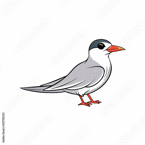 vector illustration of an arctic tern bird