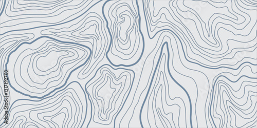 Intricate Geographic Mountain Relief Contour Mapping with Seamless Abstract Topographic Lines for Modern Cartographic Applications