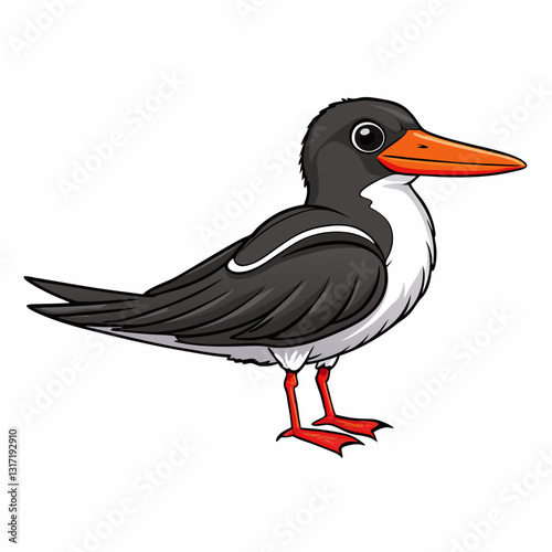 vector illustration of a black skimmer bird