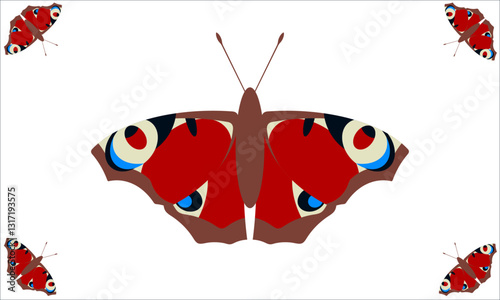 Illustration of Peacock Butterfly (Aglais io). French Name : Paon-du-jour