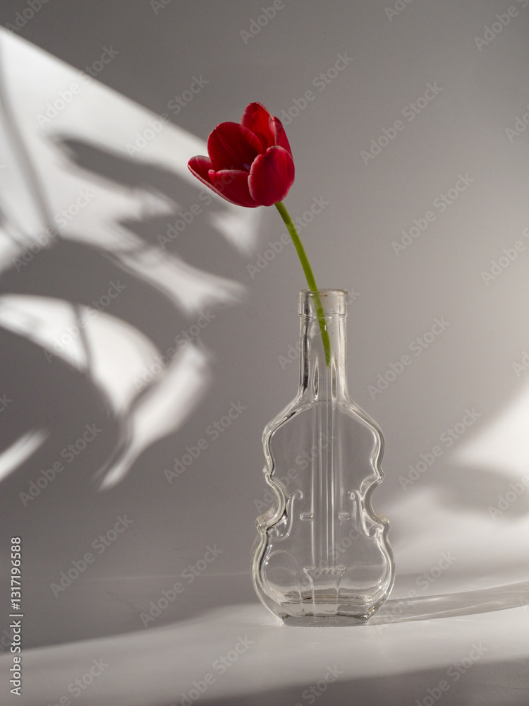 custom made wallpaper toronto digitalTulip flower isolated on white background