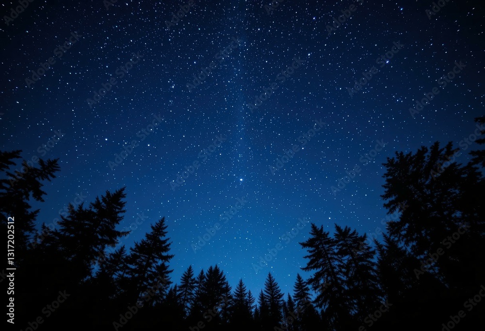 Starry Night Sky Concept Silhouetted Pine Trees Deep Blue Background - Nature Travel Blogs, Astrophotography, Outdoor Adventures Starry Night Sky Concept Silhouetted Pine Trees Deep Blue Background - Nature Travel Blogs, Astrophotography, Outdoor Adventures