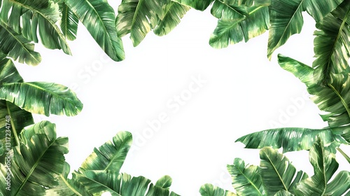 Lush Green Banana Leaves Frame on White Background
