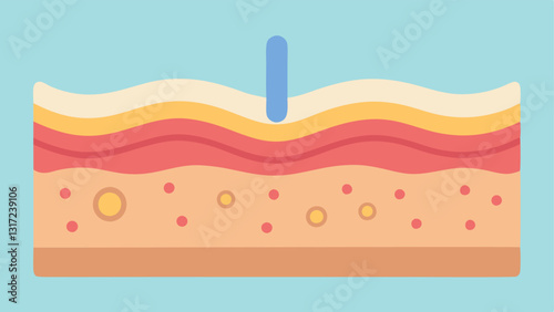 Skin Layer CrossSection Show a closeup crosssection of skin layers with highlighted areas indicating where exosomes trate to repair and rejuvenate the skin.