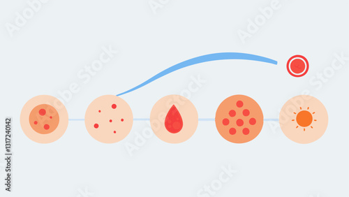 Skin Healing Process A timeline illustration demonstrating stages of skin healing posttreatment inflammation regeneration and improved skin tone after exosome application.