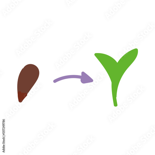 Plant growth in two stage in flat cartoon design. Brown seed developing to green seedling. Sapling germination phase step in greenhouse. Agriculture, horticulture and farming. Vector illustration