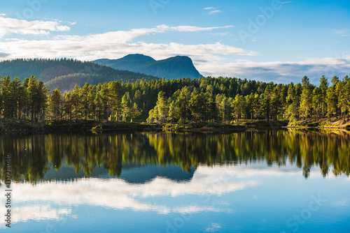 Fototapeta Naklejka Na Ścianę i Meble -  Beautiful landscape of a serene lake surrounded by lush forests in Sweden on a clear day