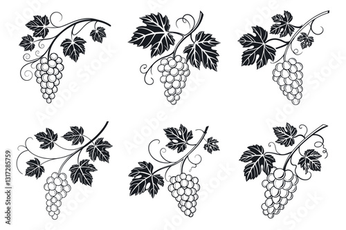Hand-Drawn Grayscale Illustration Set of Fresh Grapes on Black and White Leaves Silhouette, Isolated on White Background