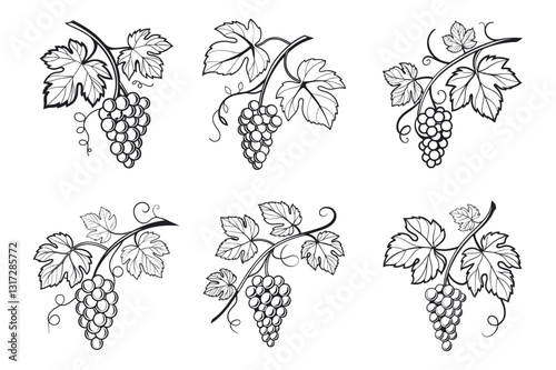 Hand-Drawn Grayscale Illustration of Grapes on a Branch with White Background