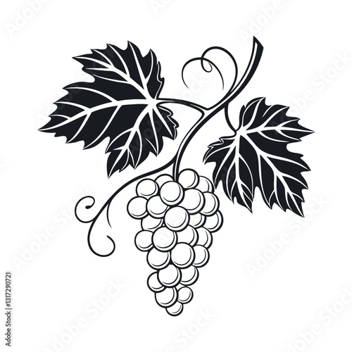 bunch of grapes icons vector silhouette illustration