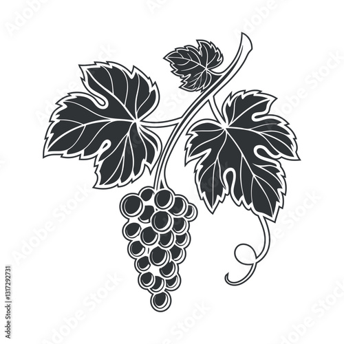 vector illustration of a grape vine silhouette