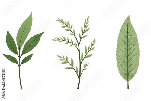 Delicate Green Leaves and Branches Illustration