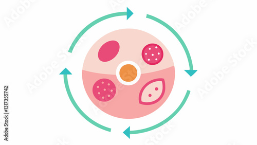 Skin Rejuvenation Cycle A circular diagram depicting the cycle of skin renewal with exosomes improving elasticity texture and scar appearance using arrows and icons to show the