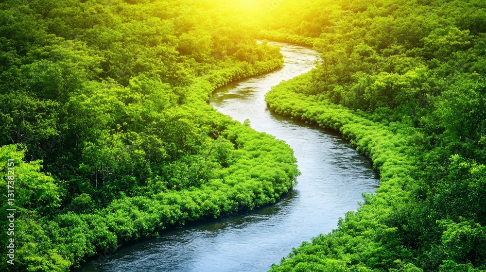 River meandering through lush rainforest, sunlight River meandering through lush rainforest, sunlight