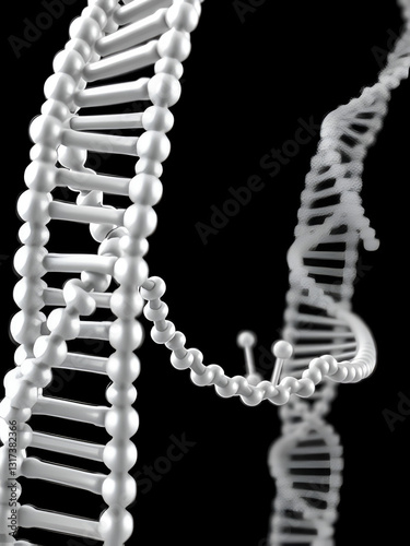Structure of double-stranded DNA bound to the anticancer drug cisplatin (light grey). Animated 3D model, PDB 1aio, black background photo