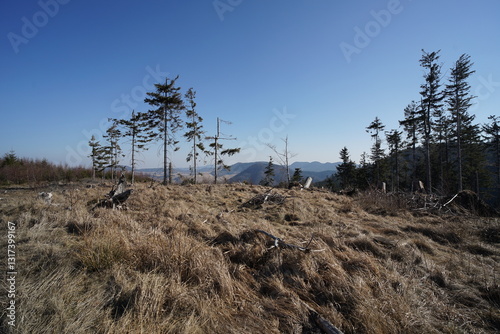 Fototapeta Naklejka Na Ścianę i Meble -  Góry Kamienne, Polska