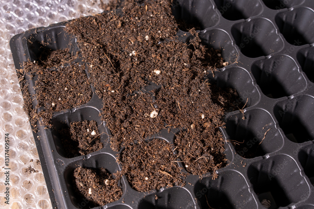 A black seed tray with soil and white particles like perlite. Perfect for seed propagation, gardening, and small-scale agriculture