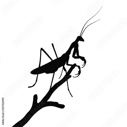 Silhouette of stick insect on branch, black and white art