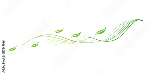 Green vine floral divider with flowing leaves