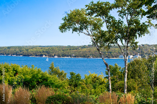 Door County Wisconsin bluff overlooking blue bay with white sailboat and Birch trees photo