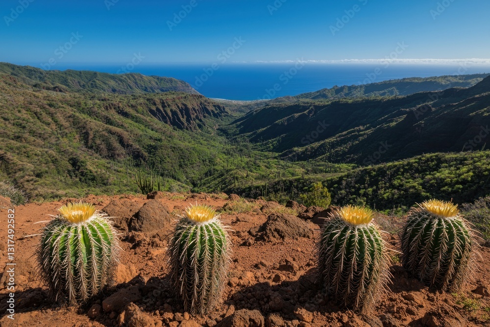 Valley overlook with cacti in the foreground, ocean and blue sky horizon Valley overlook with cacti in the foreground, ocean and blue sky horizon