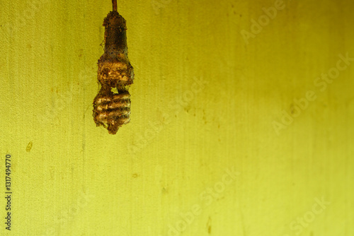 old light bulb on green background