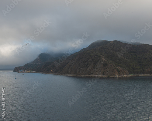 catalina coast