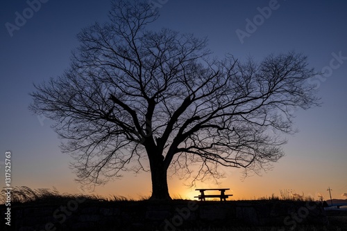 Fotografía Wooden bench sits serenely on a picturesque beach, the sun setting in the distan