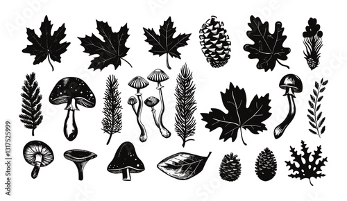 Autumn woodcut silhouette, forest branch set, Scandinavian leaf, engraving mushroom, black print cones, twig botanical object kit, texture stamp, nature season, branch collection
